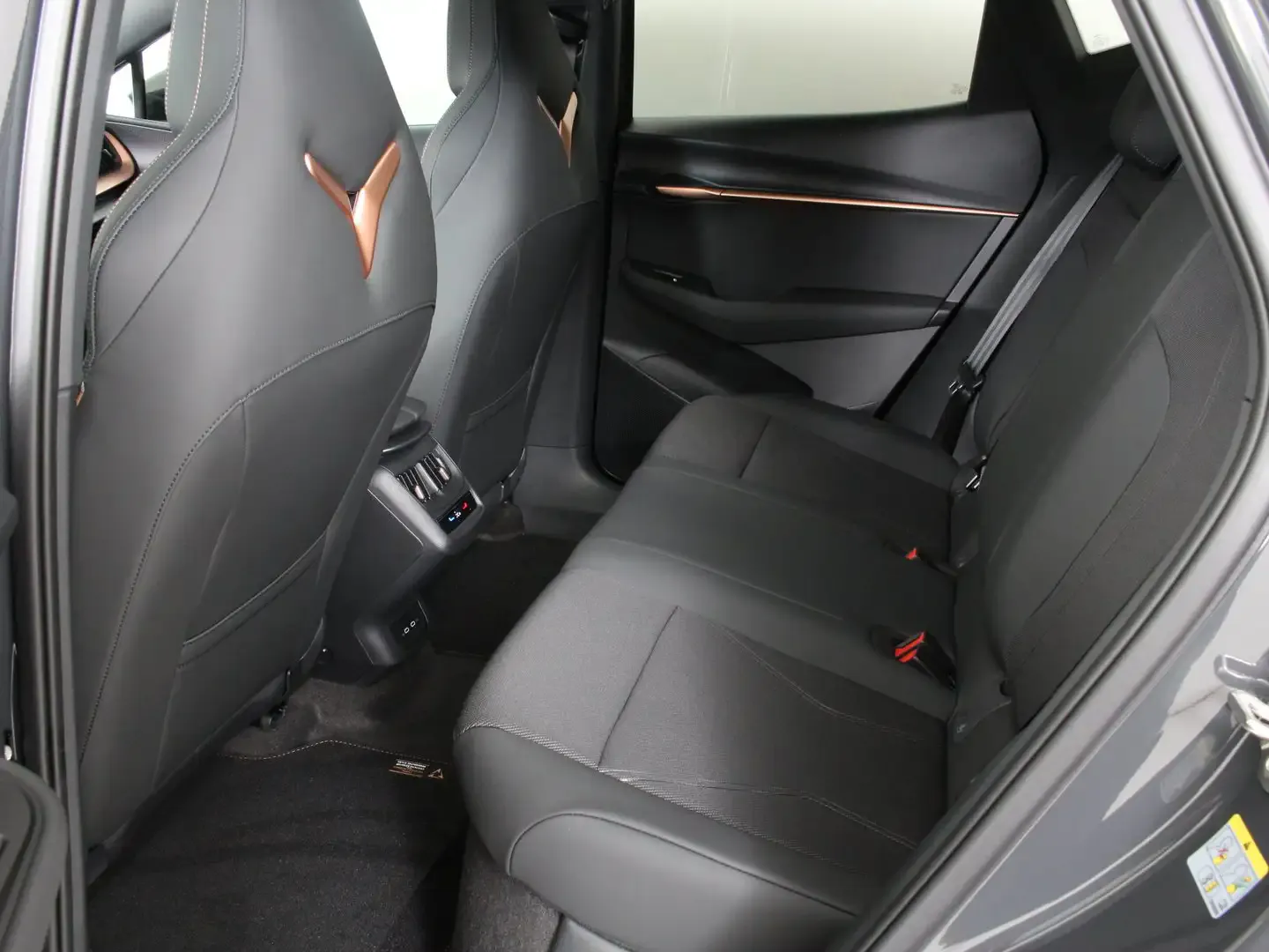 2026 Cupra Tavascan, photo 5