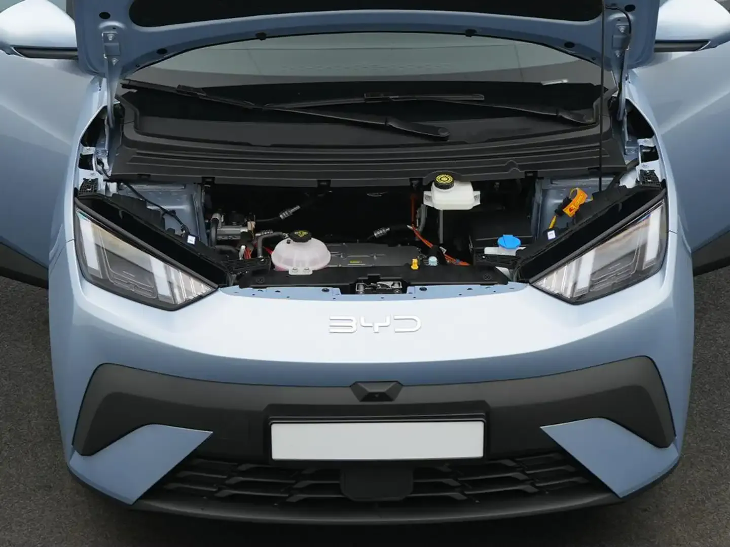 2026 BYD Dolphin, photo 5