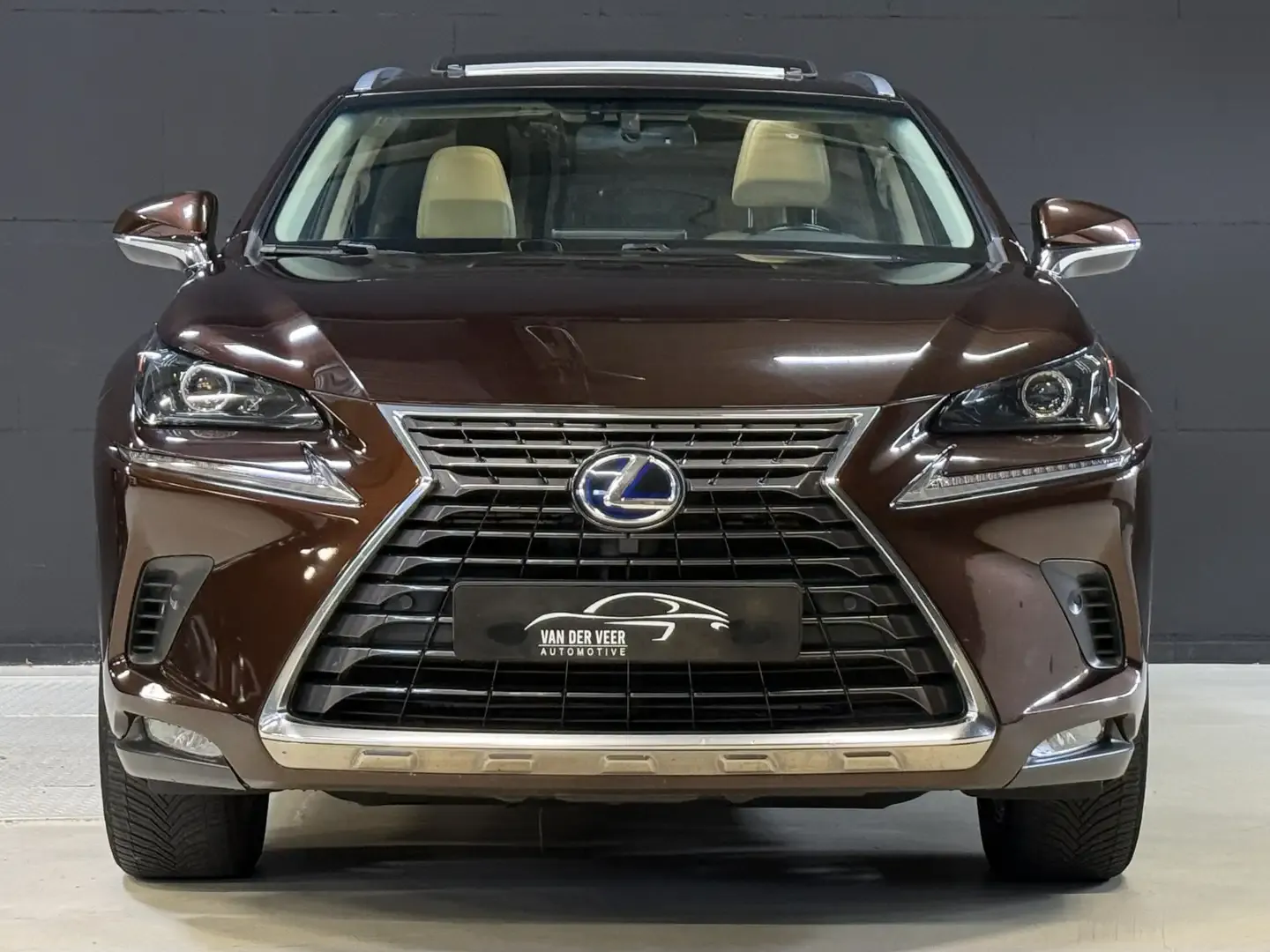 2018 Lexus NX 300h, photo 5