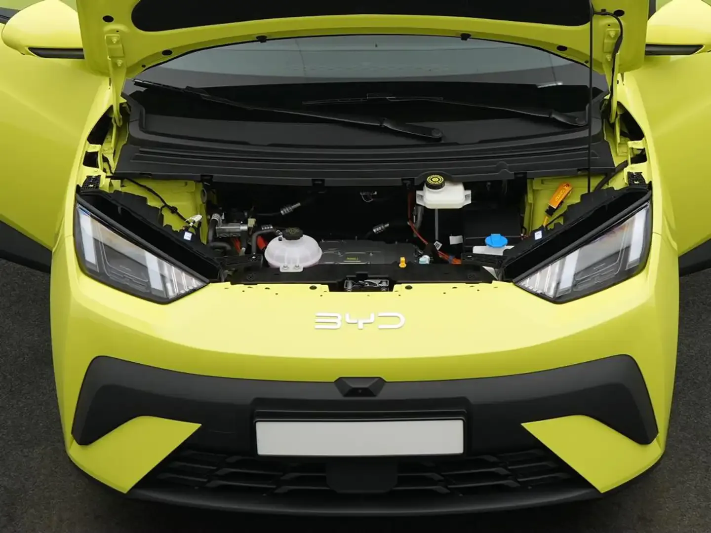 2026 BYD Dolphin, photo 5