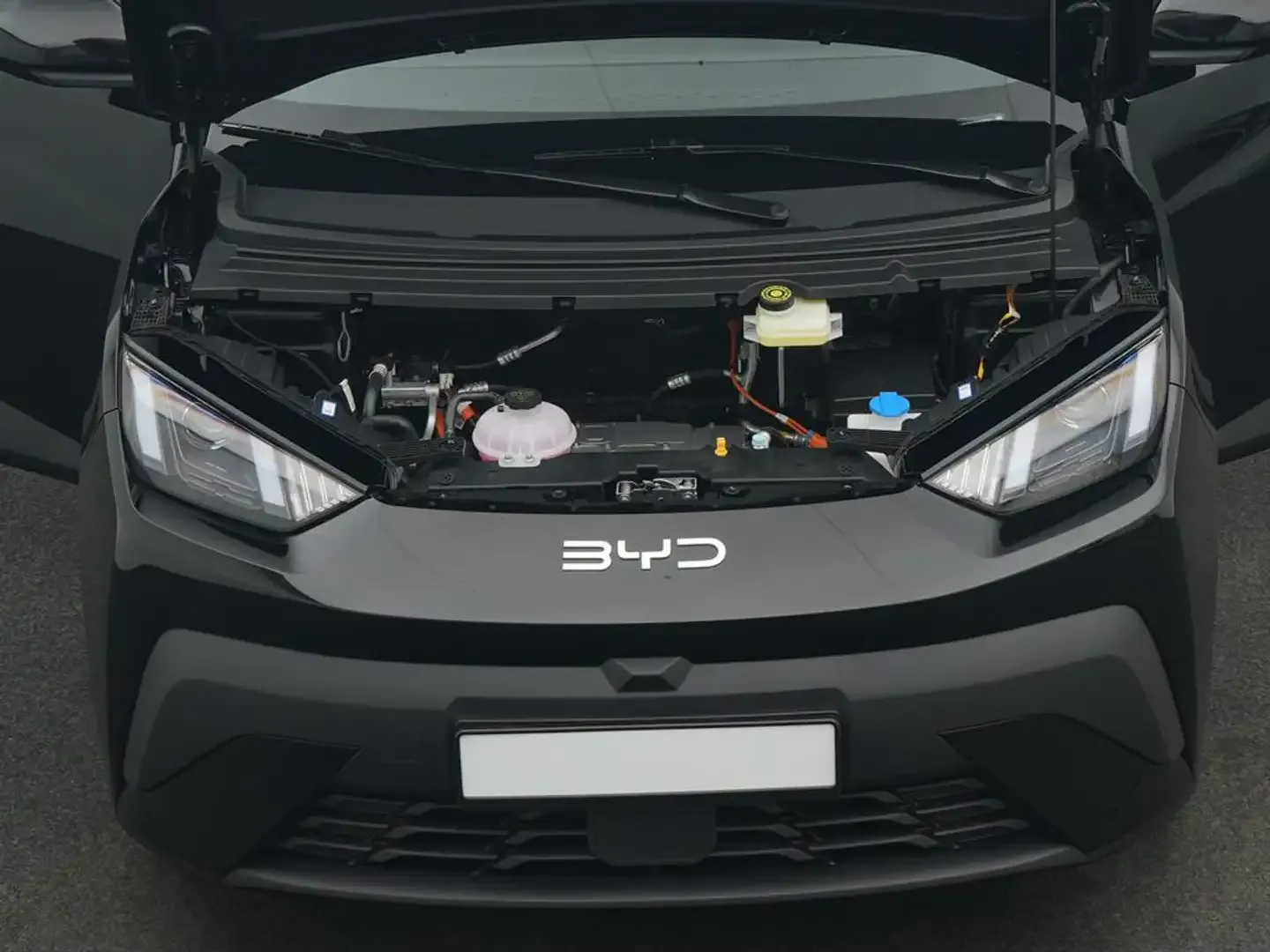 2026 BYD Dolphin, photo 5