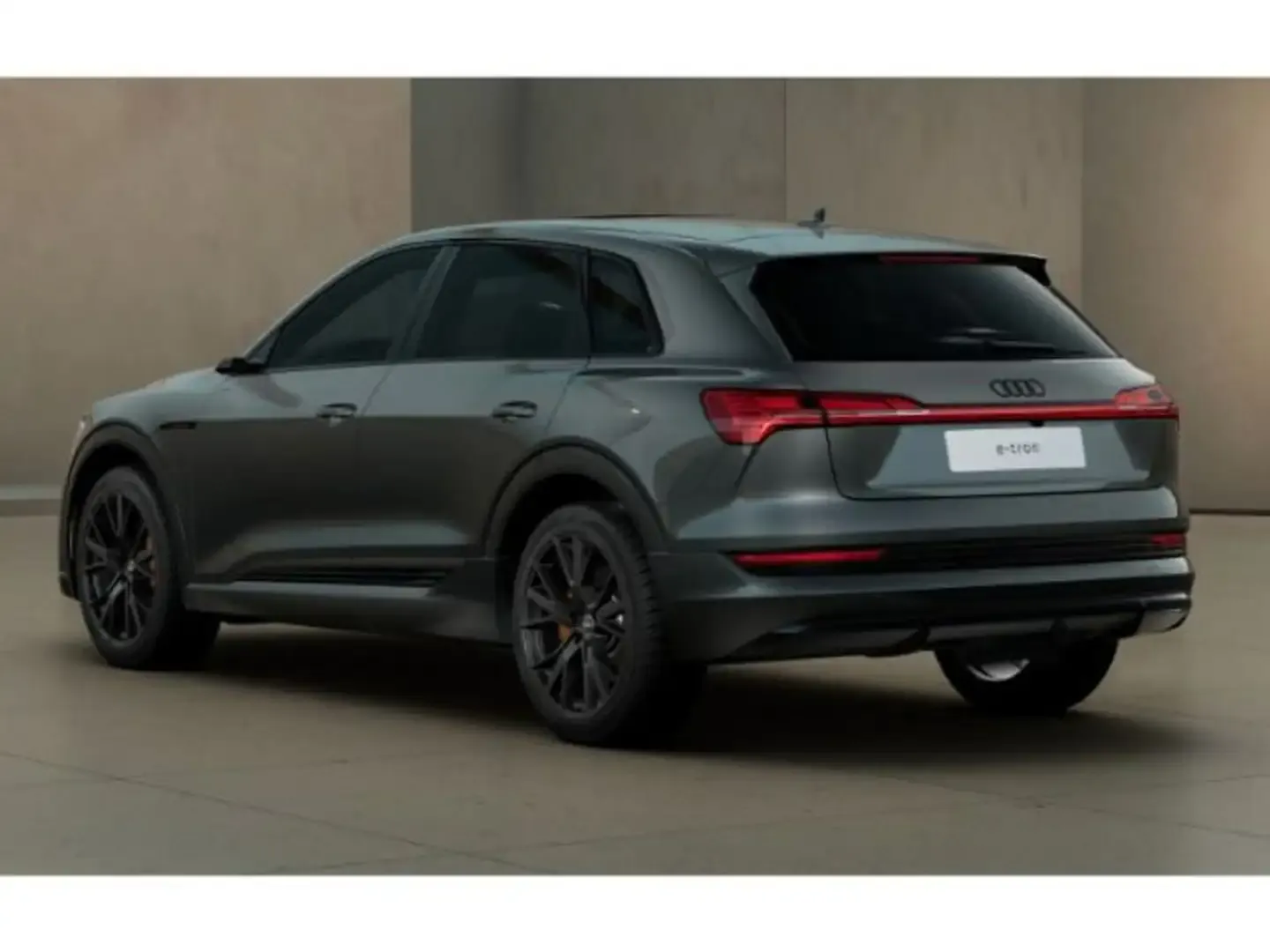 2018 Audi e-tron, photo 5